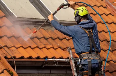 Démoussage et hydrofuge de toiture à Cromary